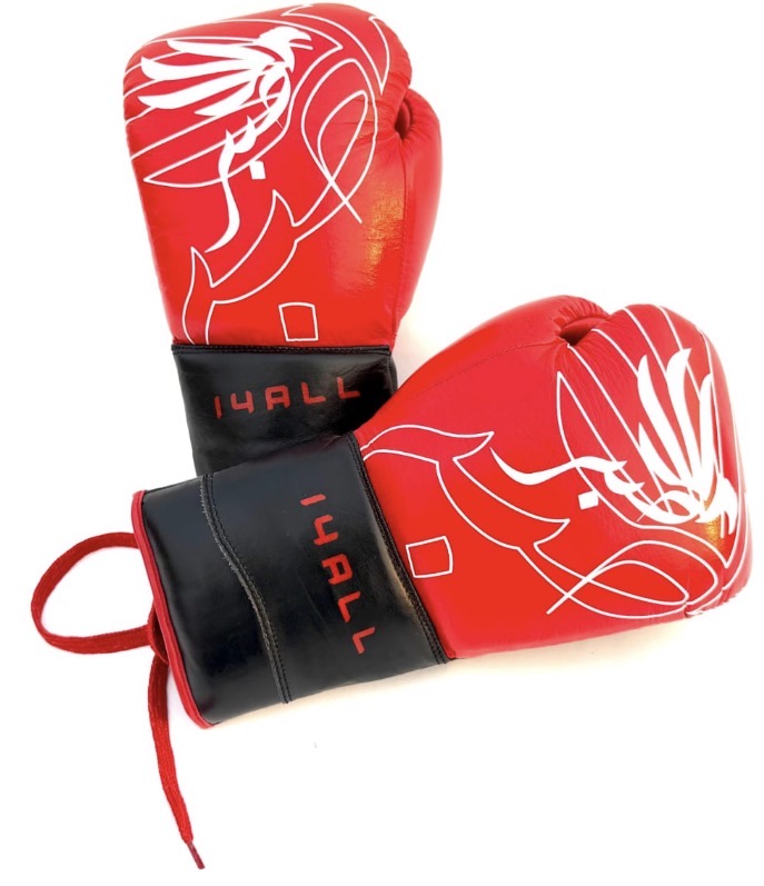 (VORBESTELLUNG) 14ALL Fight Night Boxhandschuhe Professional (PRE-ORDER)